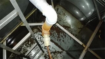 百順潔清洗服務 專業武漢水箱清洗，守護建筑用水安全